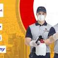 # Pest Control &ndash; Quality & Approved