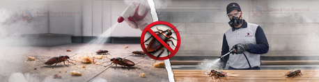Al Barsha, Pest Control, # Pest Control &ndash; Quality & Approved