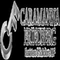 Toronto Criminal Lawyers For Passionate Defence Across All Criminal And Regulatory Offence
