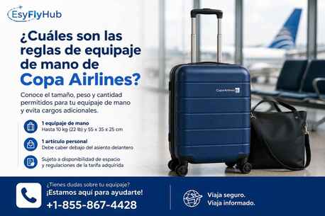 New York, Travel, ¿Cuáles Son Las Reglas De Equipaje De Mano De Copa Airlines?