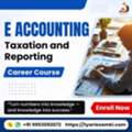 Professional E-Accounting And Taxation Career Course