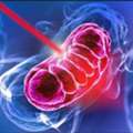 Red Light Therapy London | Advanced Wellness & Recovery Treatments