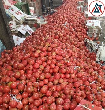 Ajman, Wholesale Products, Direct Onion & G4 Green Chilli Exporter From India &ndash; Looking For Direct Importers In UAE
