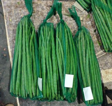 Ajman, Wholesale Products, Direct Onion & G4 Green Chilli Exporter From India &ndash; Looking For Direct Importers In UAE