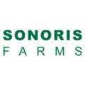Affordable Solar Light Trap In India For Farmers