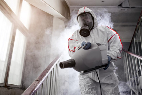 Auckland, Cleaning, Expert Decontamination & Property Restoration Services