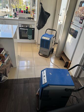 Auckland, Cleaning, Expert Decontamination & Property Restoration Services