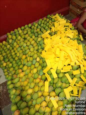 Doha, Wholesale Products, Direct Indian Exporter: Premium Onions, G4 Green Chillies & Fresh Produce &ndash; Qatar