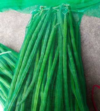 Doha, Wholesale Products, Direct Indian Exporter: Premium Onions, G4 Green Chillies & Fresh Produce &ndash; Qatar