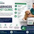 SEO Solutions For B2B Database Companies | Growth Naavik