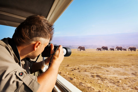 Nairobi, Travel, Affluent Safaris Ltd Offers The Most Memorable Masai Mara Wildlife Safari Package In Kenya
