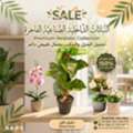 SAR 55,  Premium Artificial Indoor Plants & Elegant Flower Pots! 🌿