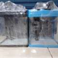 SAR 120,  Almost New Aquarium 2pcs