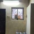 SAR 11/year,  2 Sq. Feet,  2 Separate Rooms Available In Villa, Near MMEIS