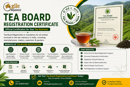 Noida, Business, Start Tea Export Business With Tea Board License Registration Support