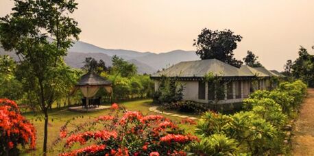 Jaipur, Travel, Resort In Sariska That Lets You Wake Up To Nature, Not Notifications