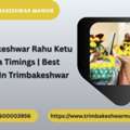Trimbakeshwar Rahu Ketu Pooja Timings | Best Pandit In Trimbakeshwar