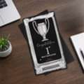 INR 499,  Winner Cup Desk Trophy