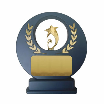 Bangalore, Collectibles, INR 1,  Metal Star Trophies