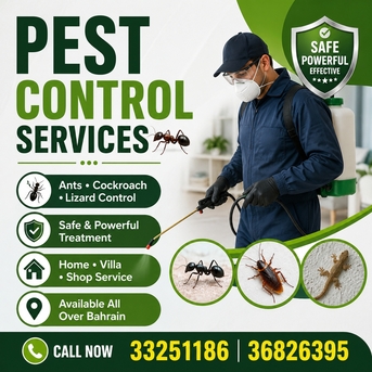 Manama, Pest Control, Pest Control Services Special Offer Just Only 15 BHD Call Now