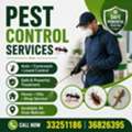 Pest Control Services Special Offer Just Only 15 BHD Call Now