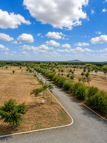 Kurnool, Commercial Plots, INR 1499,  Premium Villa Plots Near Bangalore For NRIs And Long-Term Investors