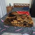 BHD 25,  Double Bed With Mattress For Sale