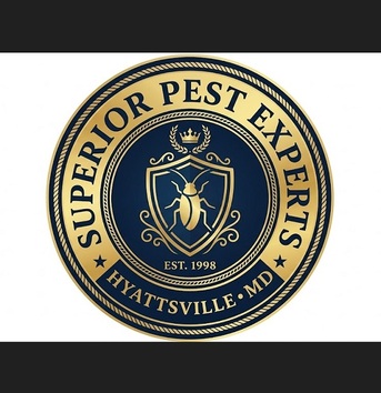 New York, Business, Superior Pest Experts Hyattsville MD