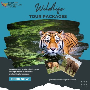Jaipur, Travel, Explore India
