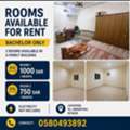 SAR 750/month,  Room For Rent