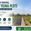 DDJAY Plots In Jhajjar | Deen Dayal Jan Awas Yojna Sector 36 Haryana