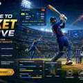 Welcome To Cricket Bet Live &ndash; Cricket Updates & Match Insights