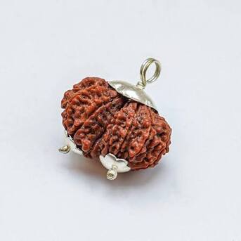 Jaipur, Health, Buy Natural Gauri Shankar Rudraksha Online