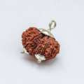 Buy Natural Gauri Shankar Rudraksha Online
