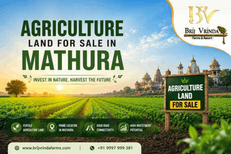 Lucknow, Agricultural Land, INR 1,  1250 Sq. Yard,  Agriculture Land For Sale In Mathura: A Smart Investment Opportunity For Farmers And Inves
