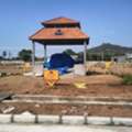 INR 3600000,  18000 Sq. Feet,  Open Plots For Sale In Dokiparru,guntur