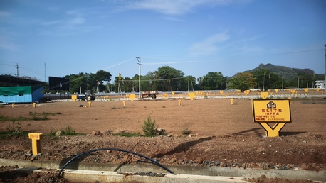 Kurnool, Residential Plots, INR 3600000,  18000 Sq. Feet,  Open Plots For Sale In Dokiparru,guntur
