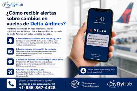 New York, Travel, ¿Cómo Recibir Alertas Sobre Cambios En Vuelos De Delta Airlines?