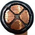 Electrical Standard Copper Wire