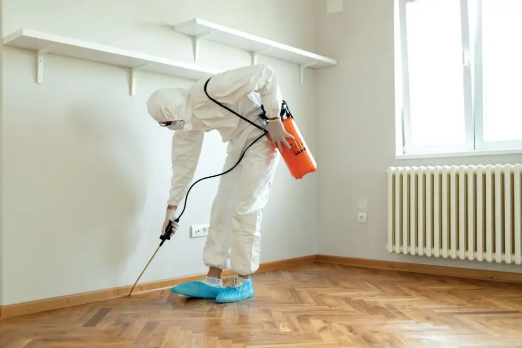 Nasr City, Pest Control, مكافحة القوارض | مكافحة القوارض والحشرات | ا&