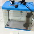 SAR 350,  Aquarium