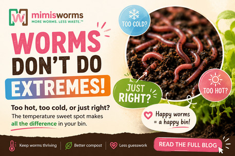 New York, Farm & Garden, Red Wiggler Temperature Guide: Keep Your Worms Healthy In Every Season