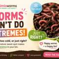 Red Wiggler Temperature Guide: Keep Your Worms Healthy In Every Season
