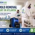 Best Mold Removal Company In Atlanta