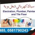 Electrician And Plumber Panter