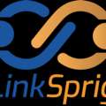 AI LinkedIn Outreach Tool | LinkSprig