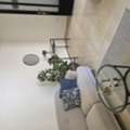JOD 6000/year,  Furnished,  Studio,  60 Sq. Meter,  Ground Floor Studio Apartment With Garden Terrace In Abdoun
