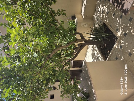 Abdoun, Apartments, Flats, Houses & Villas, JOD 6000/year,  Furnished,  Studio,  60 Sq. Meter,  Ground Floor Studio Apartment With Garden Terrace In Abdoun
