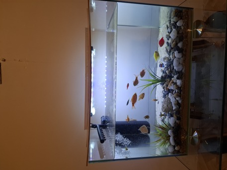 Jeddah, Household Items, SAR 550,  Aquarium For Sale