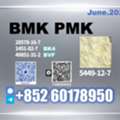 Usd 170,  New B.MK CAS 5449-12-7 PM.K Premium Standard